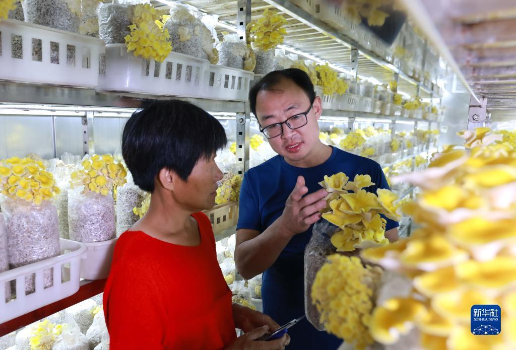 乐博现金首页